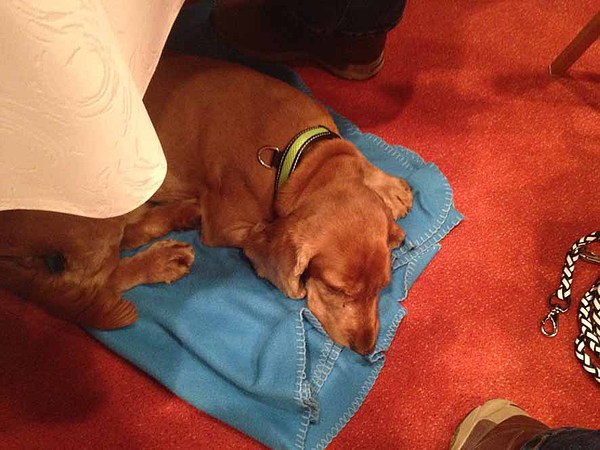 med_Endlich Pause.jpg (600 x 450)